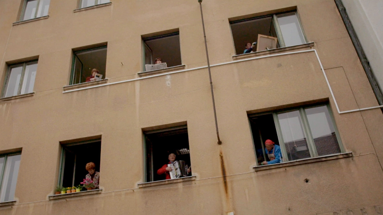 PROJEKT CINAGE / CINAGE PROJECT